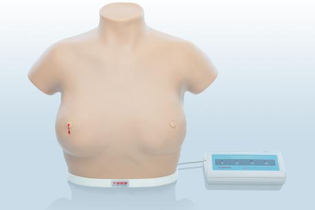 電子乳腺癌觸診、視診訓練模型