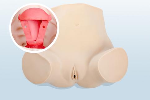 婦科上環(huán)、取環(huán)訓(xùn)練模型